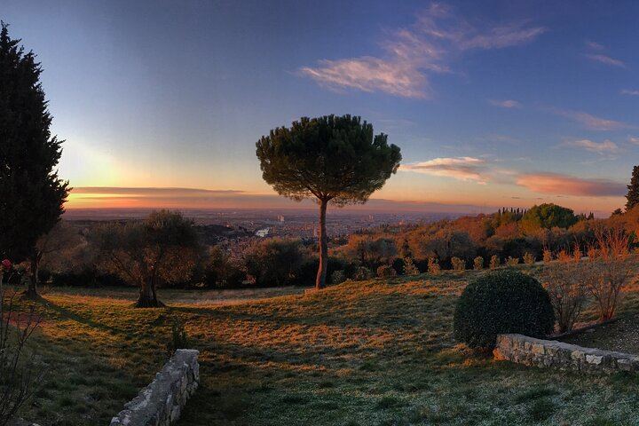 Corte San Mattia Organic Wine Tasting on a Terrace with a View over Verona (2/9)