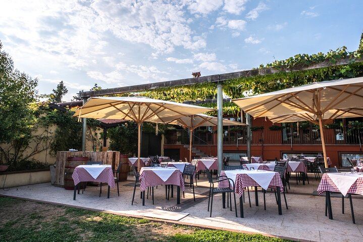 Corte San Mattia Organic Wine Tasting on a Terrace with a View over Verona (5/9)