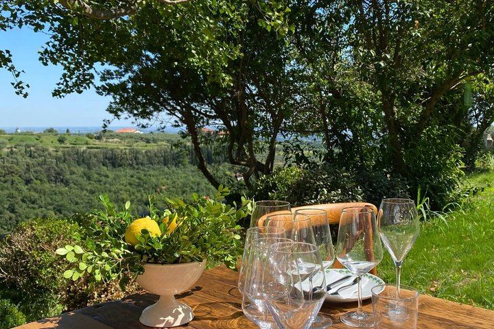Corte San Mattia Organic Wine Tasting on a Terrace with a View over Verona (8/9)