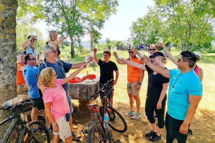 Burgundy Bike and Wine Tour: Downhill from Beaune with a Minivan Transfer and 4 Wines (12/12)