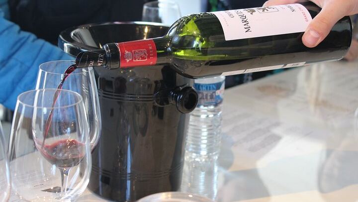 Private Half Day Médoc Wine Tour from Bordeaux with Hotel Pickup and 2 Winery Tastings (1/8)