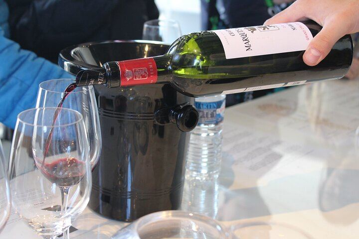 Private Half Day Médoc Wine Tour from Bordeaux with Hotel Pickup and 2 Winery Tastings (1/8)