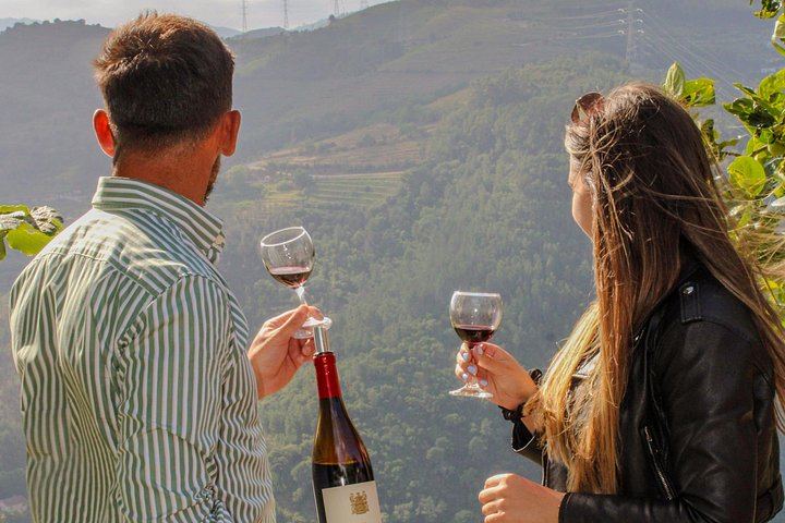 Douro Day with Two Local Brothers: Manor House Lunch, Olive Oil Mill and Port Boat Cruise (11/12)
