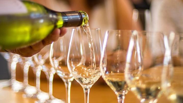 Afternoon Half-Day Wine Tour from Blenheim: 3 to 4 Wineries, No Lunch Stop (3/5)