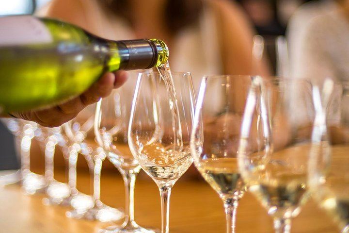 Half-Day Wine Tour from Picton: Three or Four Wineries, Pickup Included (5/5)