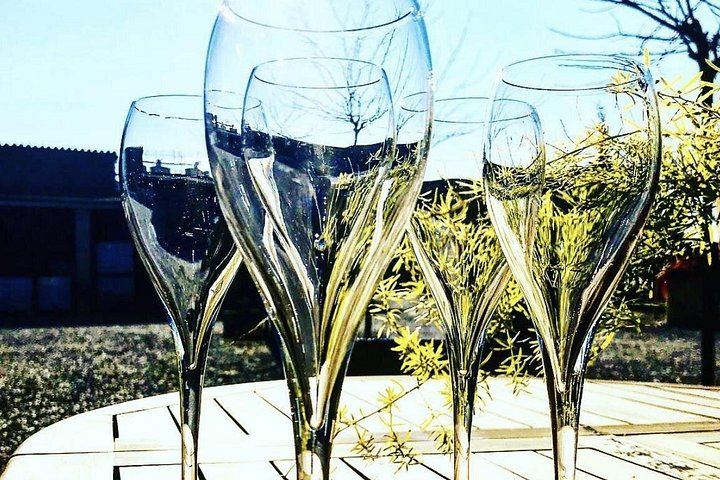 Private 8:30 Montserrat Tour with Three-Course Lunch and Biodynamic Winery Tasting (7/12)