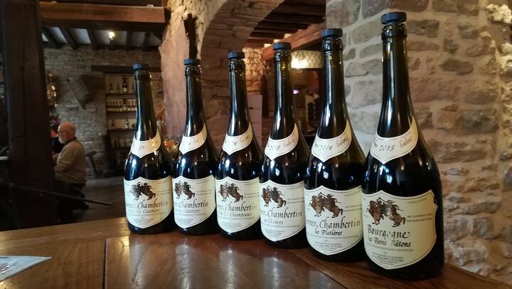 Private Lyon Day Trip to Beaune, Gevrey-Chambertin and Côte de Nuits Cellars (4/12)