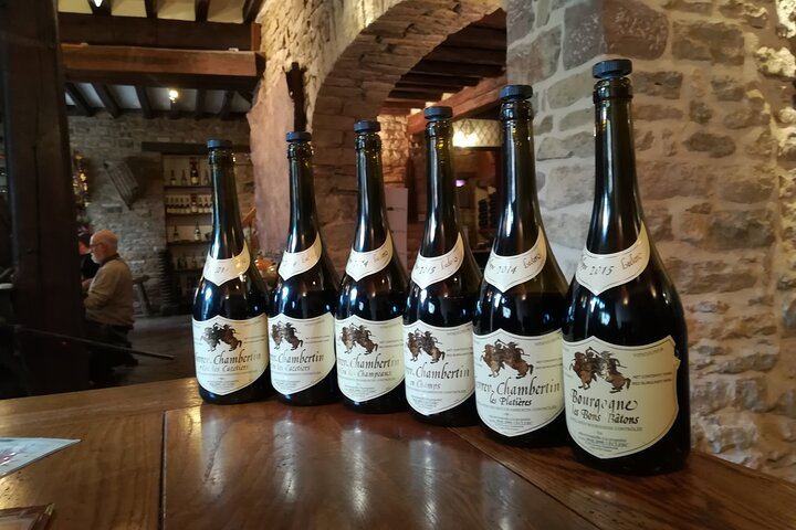 Private Lyon Day Trip to Beaune, Gevrey-Chambertin and Côte de Nuits Cellars (4/12)