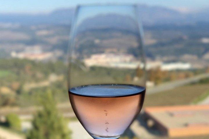 Private Penedès Tour of Three Family-Owned Organic Wineries with Three-Course Lunch (10/10)