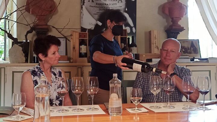 Langhe Wine Day Trip from Turin by Van: Alta Langa Cellar, Village Lunch, Barolo Tasting (1/12)
