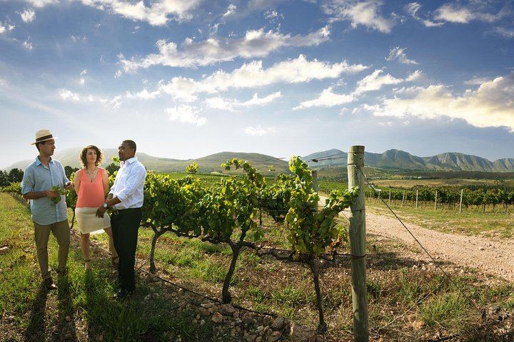 Private Cape Winelands Day from Cape Town: DeMorgenzon, Marianne, Fairview, Delaire Graff (9/12)