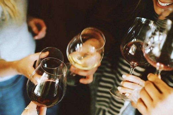 Private Penedès Tour of Three Family-Owned Organic Wineries with Three-Course Lunch