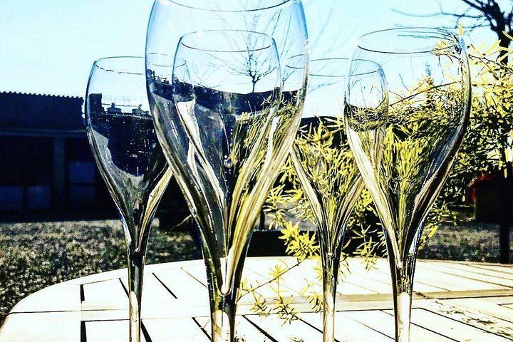 Private Penedès Tour of Three Family-Owned Organic Wineries with Three-Course Lunch (6/10)