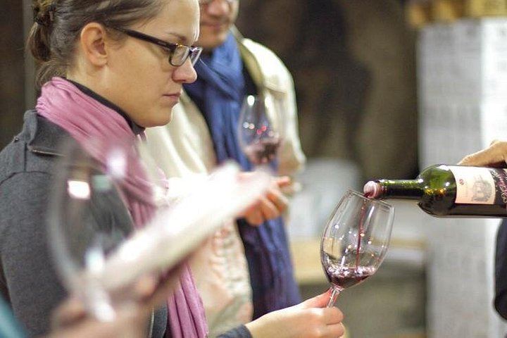 Private Priorat Day Trip: Montsant and Priorat Wines, Olive Oil and Farmer Lunch (6/6)