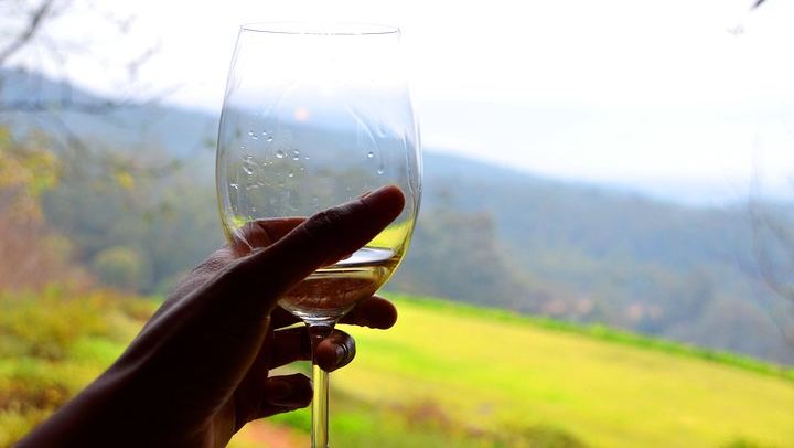 Sip and Savor Half-Day Wine Escape: Fairview Cheese and Marianne Biltong (1/12)