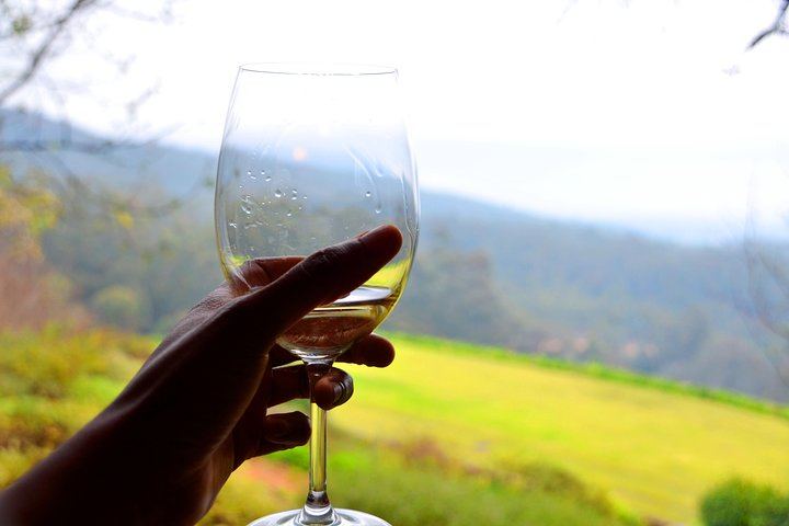 Sip and Savor Half-Day Wine Escape: Fairview Cheese and Marianne Biltong (1/12)