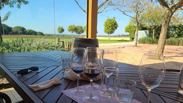 Arrábida Wine Day from Lisbon: Livramento Market, Leiveira Tile Factory and Two Cellars (1/12)