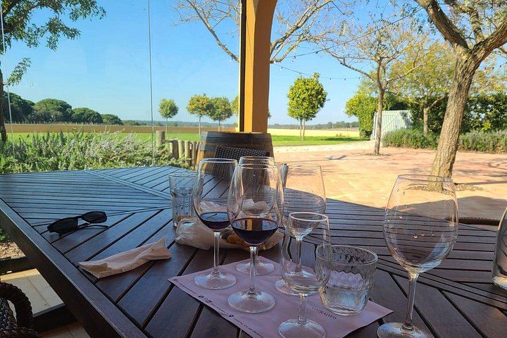 Arrábida Wine Day from Lisbon: Livramento Market, Leiveira Tile Factory and Two Cellars (1/12)