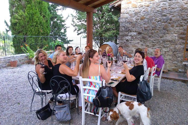 Classic Chianti Villages and Wine Roads by Minivan from Florence, with Light Lunch (3/11)