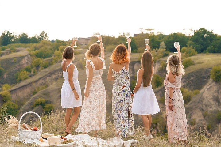 Small-Group Half-Day Côtes de Provence Wine Tour from Aix with Two Family Wineries (3/8)