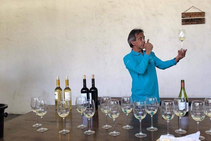 Undurraga Winery Tour by Chilenjoy: Gente de La Tierra Museum and Tasting (7/7)