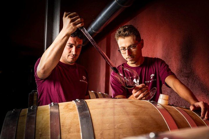 Cantina Moscone in La Morra: Winery Tour and "Il Dosman" Tasting of Three Wines (11/12)