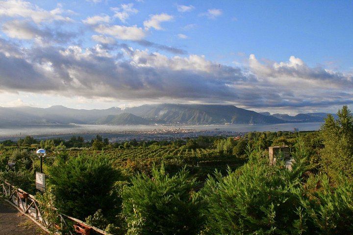 Vesuvius Vineyard Visit and Typical Lunch with Wine, Transfer from Naples Included (5/5)