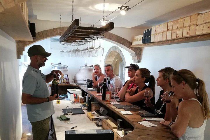 Montepulciano Wine Tour by Fat E-Bike with Two Cellar Tastings, Urban Bikery (3/7)