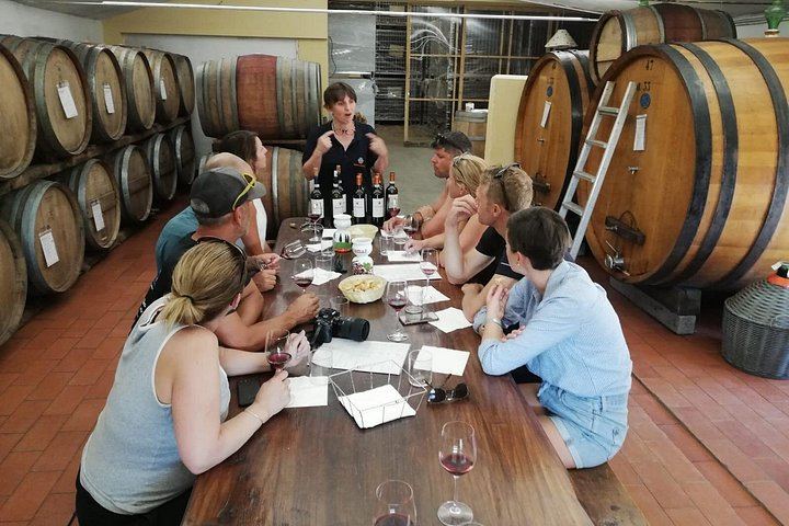 Montepulciano Wine Tour by Fat E-Bike with Two Cellar Tastings, Urban Bikery (5/7)