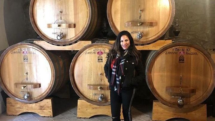 Small-Group Brunello and Montepulciano Wine Day from Cortona in a 9-Seat Minivan (3/12)