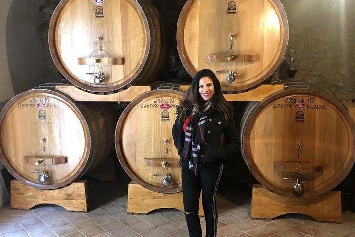 Small-Group Brunello and Montepulciano Wine Day from Cortona in a 9-Seat Minivan (3/12)