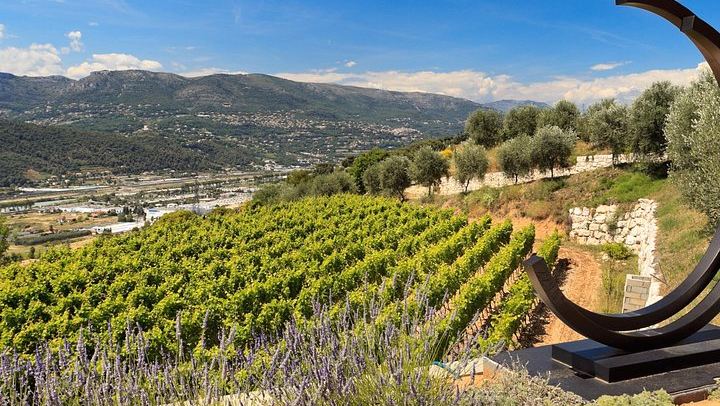 Full-Day Bellet Wine Tour with Three Wineries and Saint-Paul-de-Vence Lunch Stop from Nice