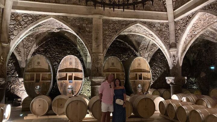 Côtes de Provence Minivan Day Trip from Nice: Three Wineries, Cru Classé and Lunch Break (3/6)