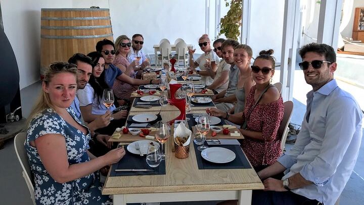Santorini 4-Hour Small-Group Wine Tour: Argyros, Anhydrous and Karamolegos Wineries (4/12)