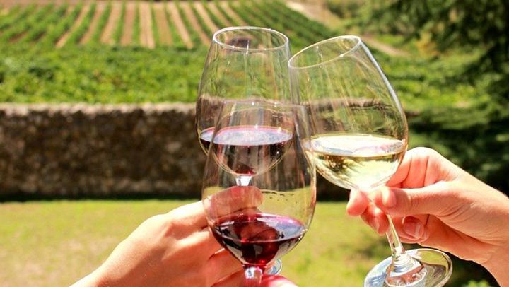 Stellenbosch Half-Day Wine Tour from Cape Town: Two Estates, Cellar Visit and Pairings (1/12)