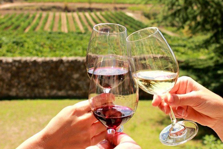 Stellenbosch Half-Day Wine Tour from Cape Town: Two Estates, Cellar Visit and Pairings (1/12)