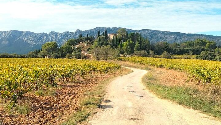 One Day in Provence: Vineyard Tasting, Puyloubier Pétanque Aperitif and Time in Aix (3/12)
