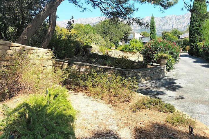 Sainte-Victoire Wine Day: Organic and Experimental Wineries, Olive Oils, Picnic, Pétanque (8/12)