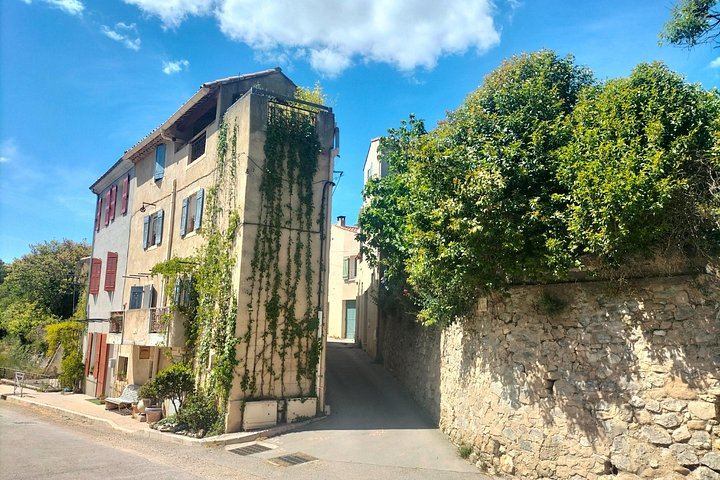 Sainte-Victoire Wine Tour with Organic Estate, Gourmet Picnic and Pétanque (6/12)