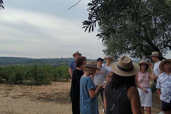 Private Penedès Wine and Cava Tasting Tour from Barcelona with Hotel Pickup