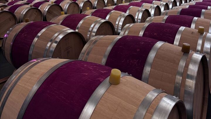 Small-Group Médoc Wine Tour with a WSET Guide: Margaux, Cantenac and Two Wineries (1/6)
