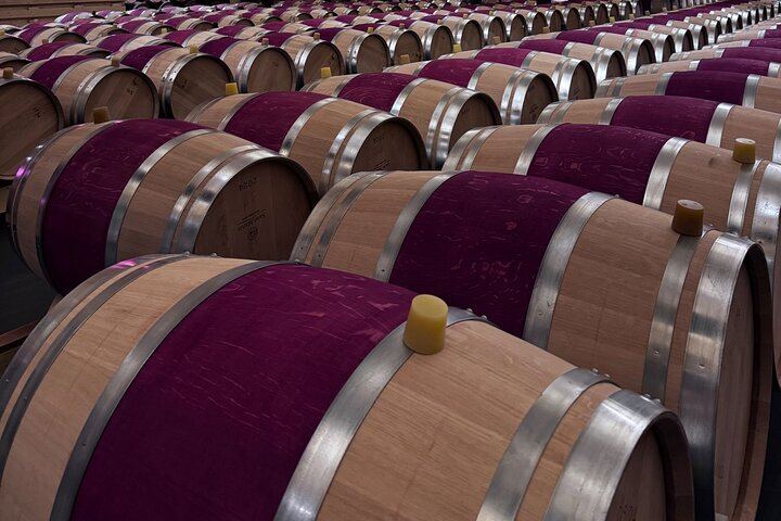 Small-Group Médoc Wine Tour with a WSET Guide: Margaux, Cantenac and Two Wineries (1/6)