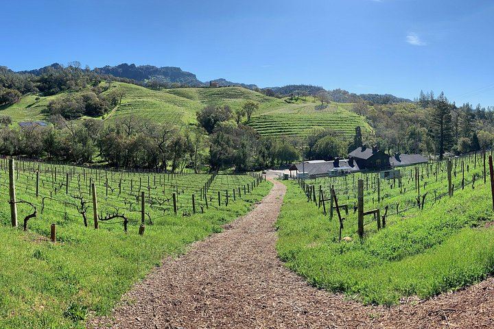 Wine Tour Pros Private Napa Valley Wine Tour with Welcome Bubbles or Rosé (9/12)