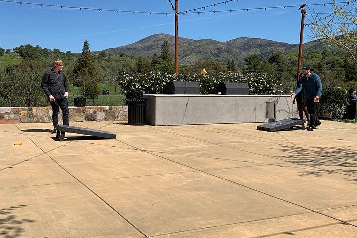 Wine Tour Pros Private Napa Valley Wine Tour with Welcome Bubbles or Rosé (4/12)