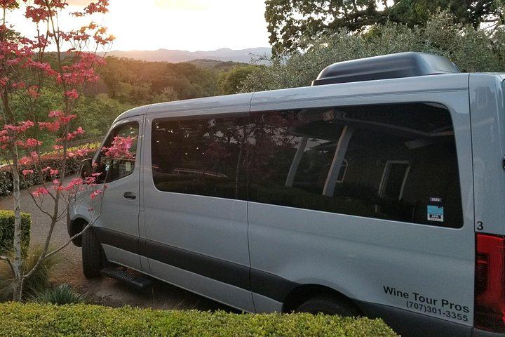 Wine Tour Pros Sprinter Van Wine Tour in Napa and Sonoma, Up to 14 Guests (8/10)