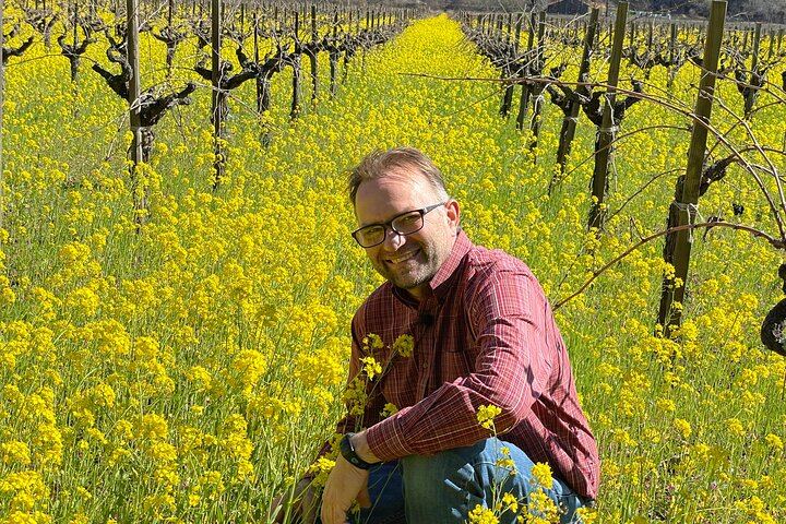 Wine Tour Pros Sprinter Van Wine Tour in Napa and Sonoma, Up to 14 Guests (7/10)