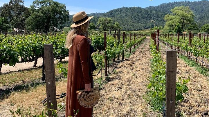 Wine Tour Pros: Privately Driven Napa Wine Tour by Luxury SUV, up to 6 Guests (2/12)