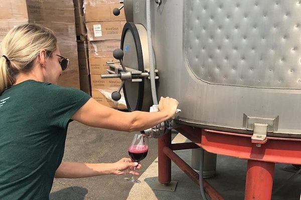 Wine Tour Pros: Privately Driven Napa Wine Tour by Luxury SUV, up to 6 Guests