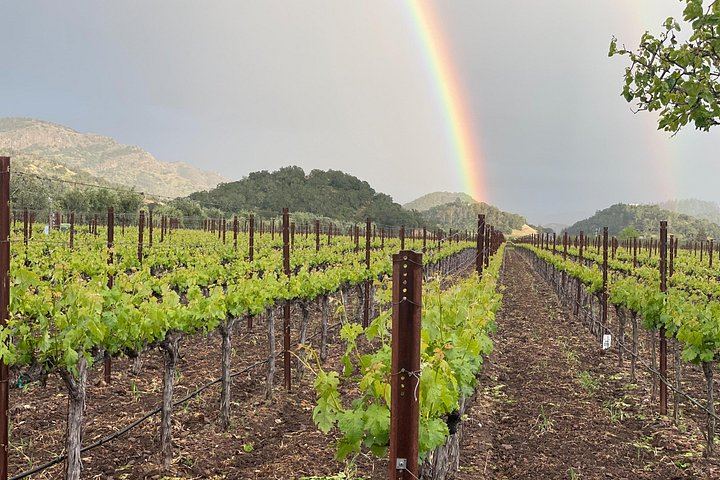 Wine Tour Pros: Privately Driven Napa Wine Tour by Luxury SUV, up to 6 Guests (7/12)