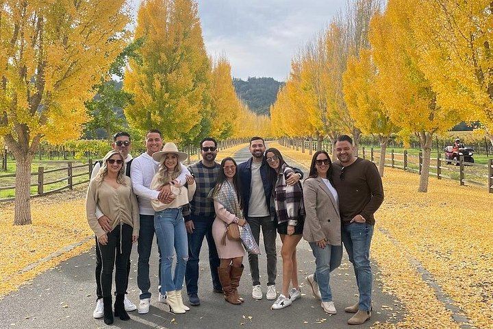 Wine Tour Pros: Privately Driven Napa Wine Tour by Luxury SUV, up to 6 Guests (6/12)